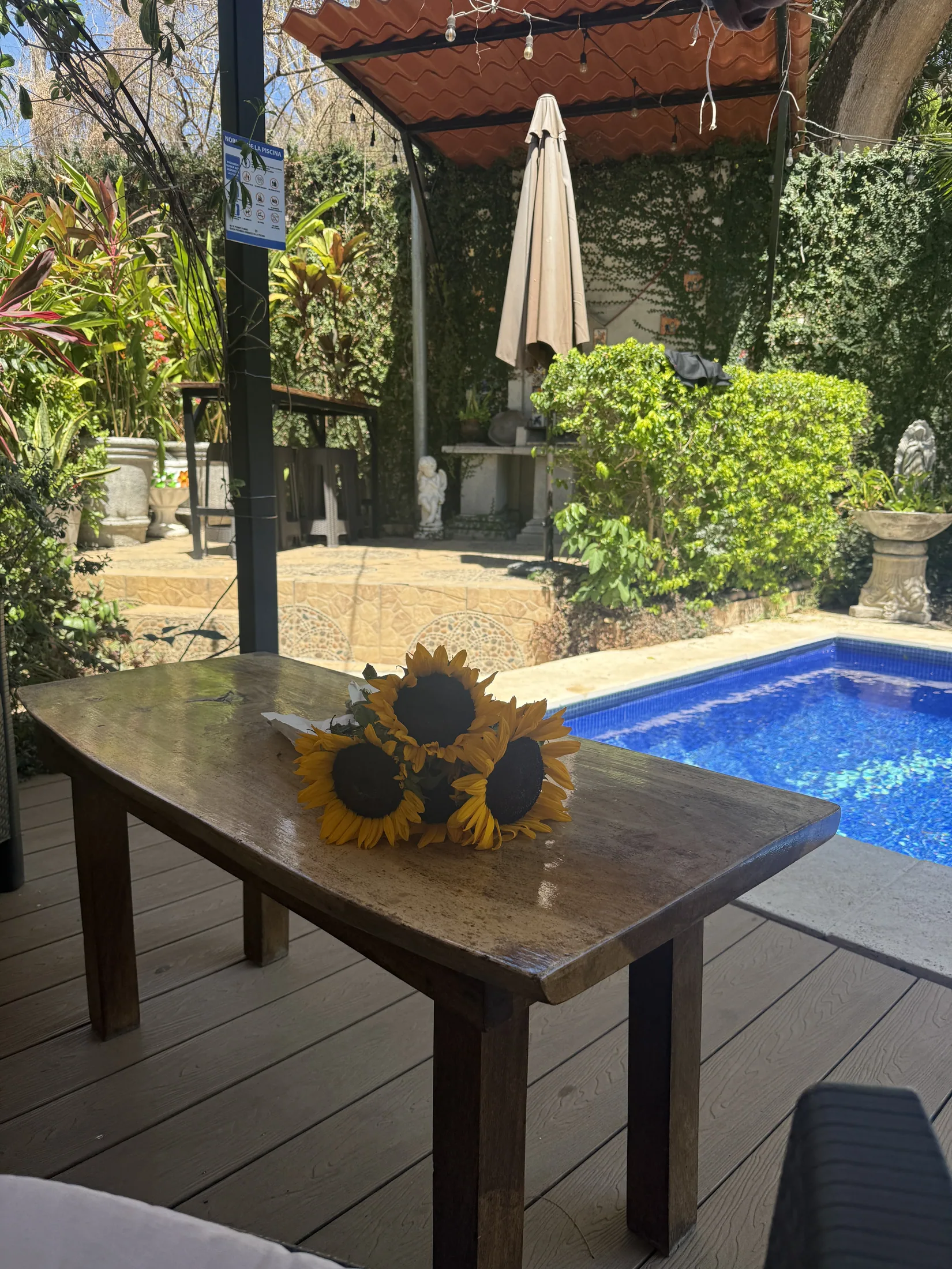Poolside patio and garden