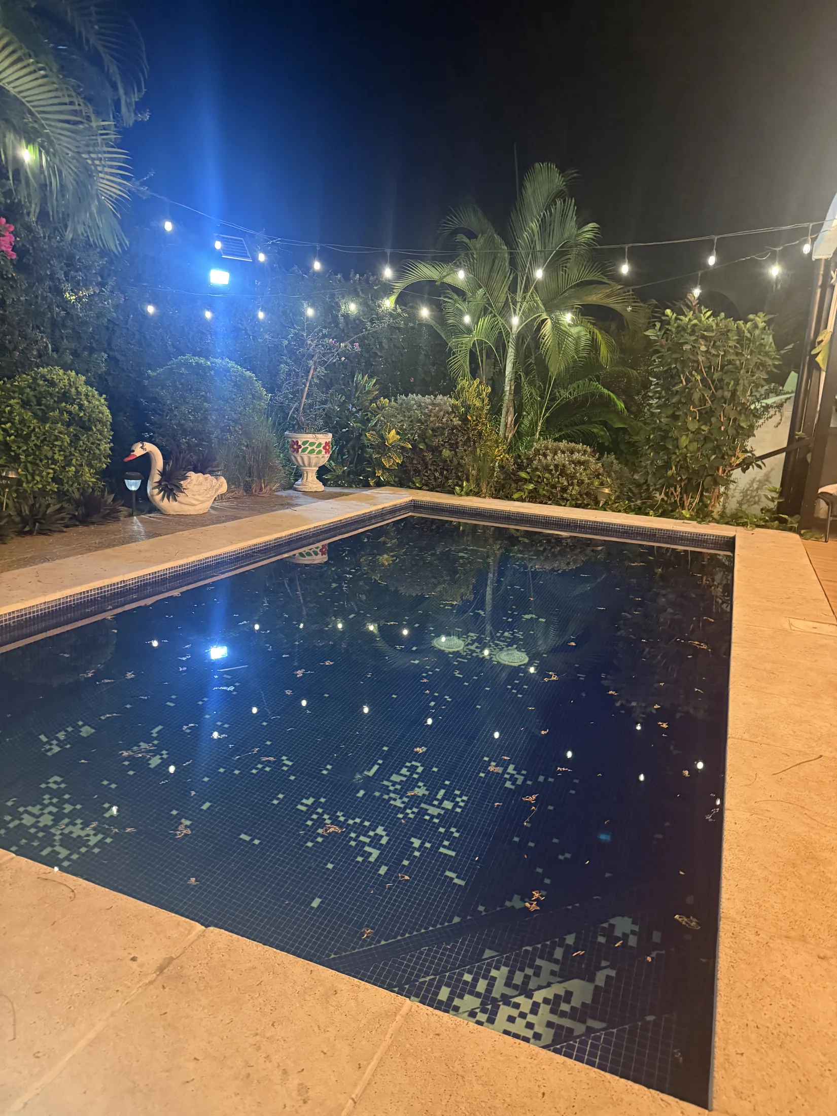 Private pool at night