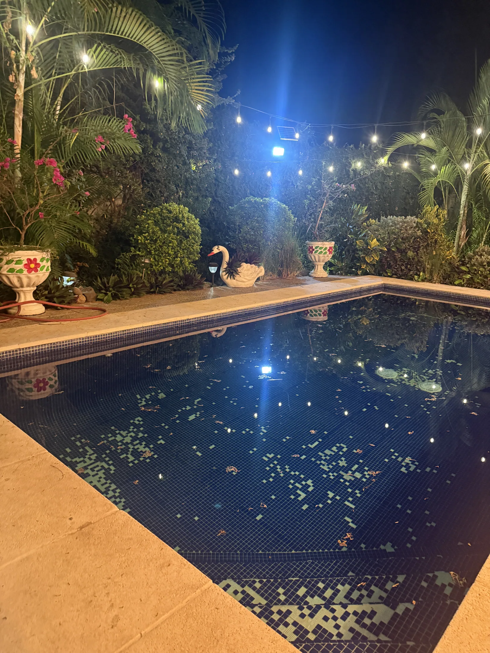 Private pool at night