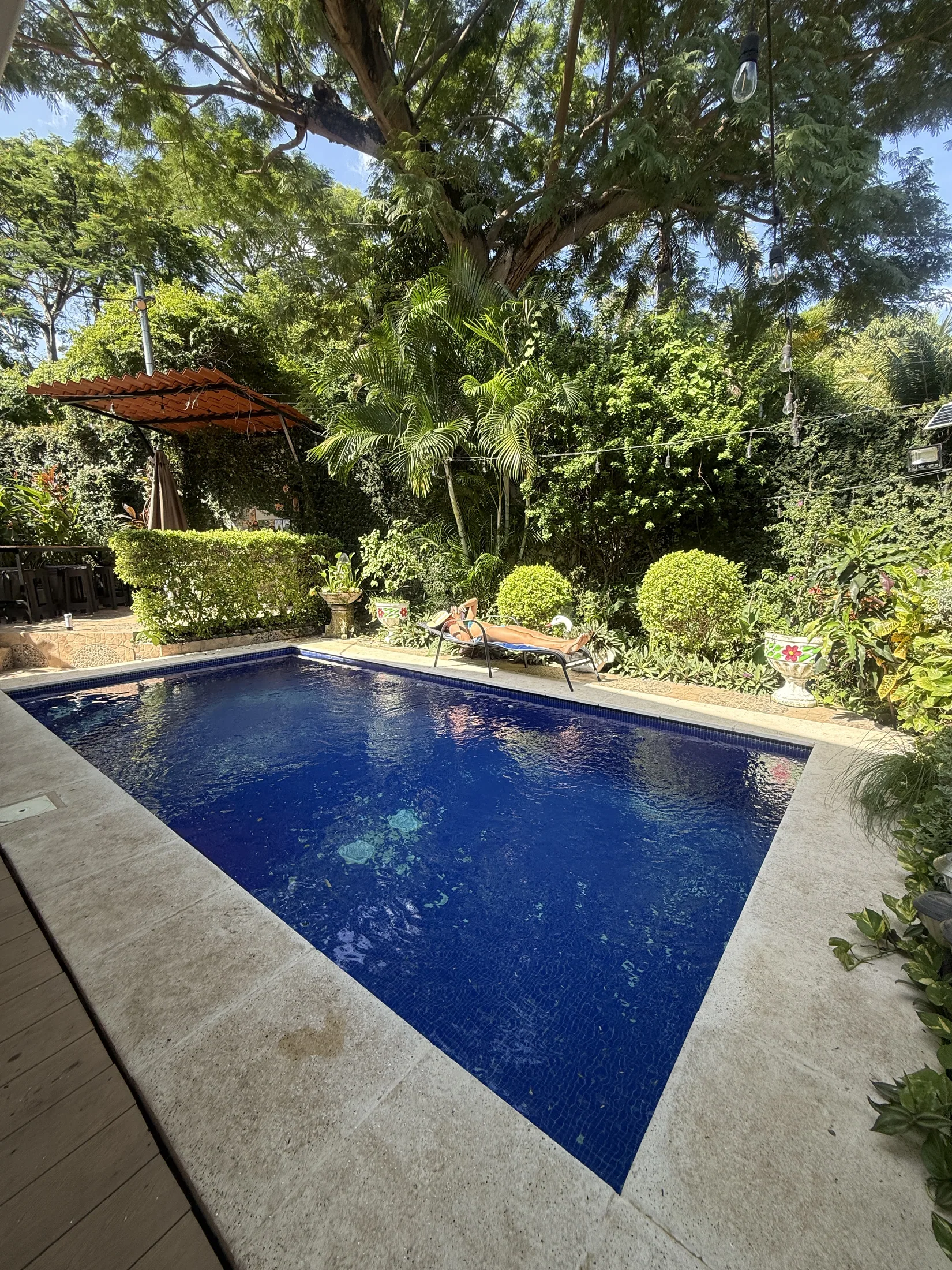 Private pool daytime