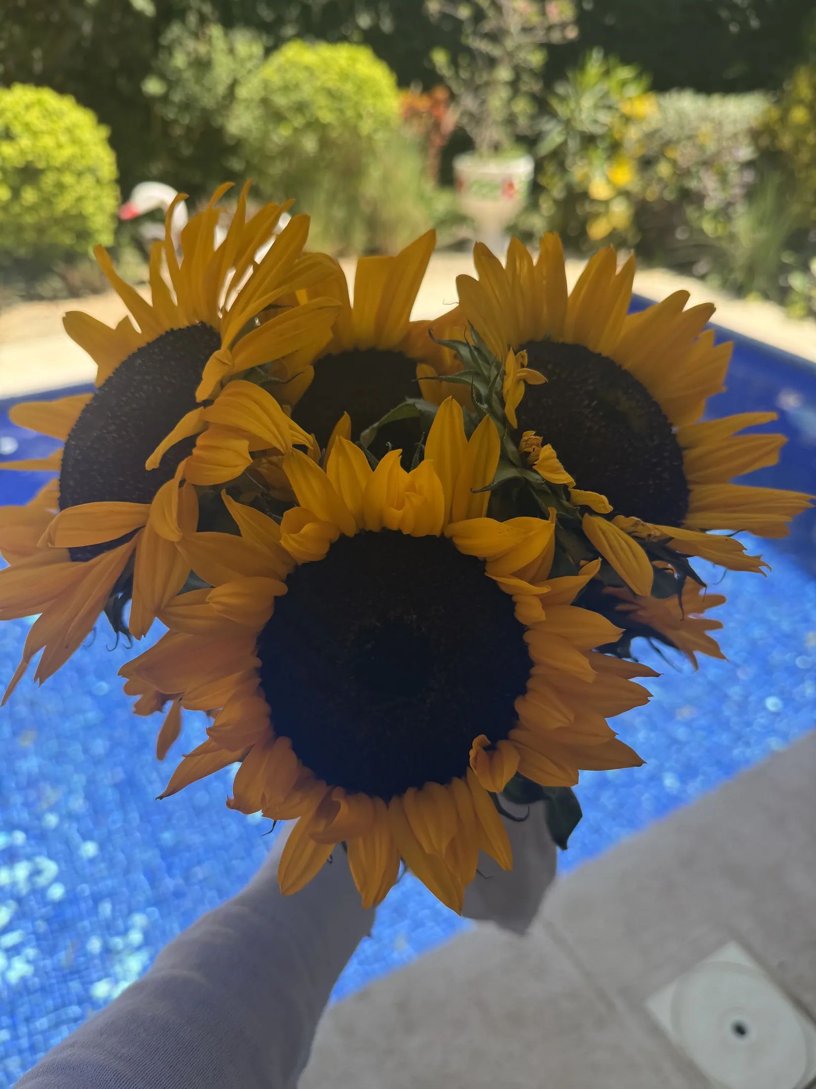 Private pool tropical flowers