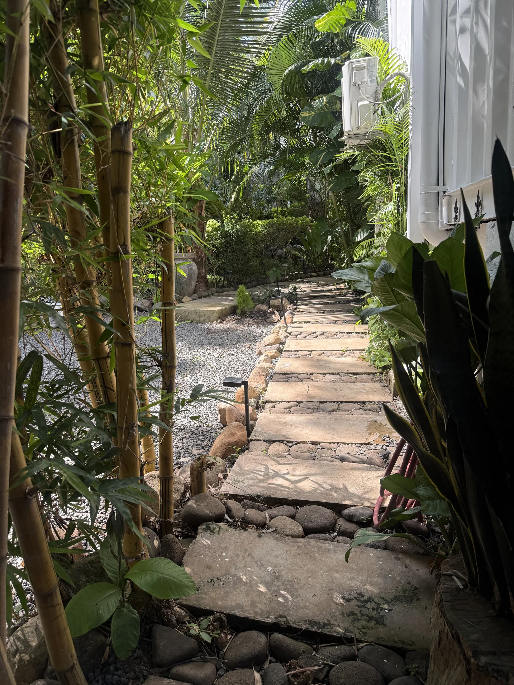 Tropical garden path