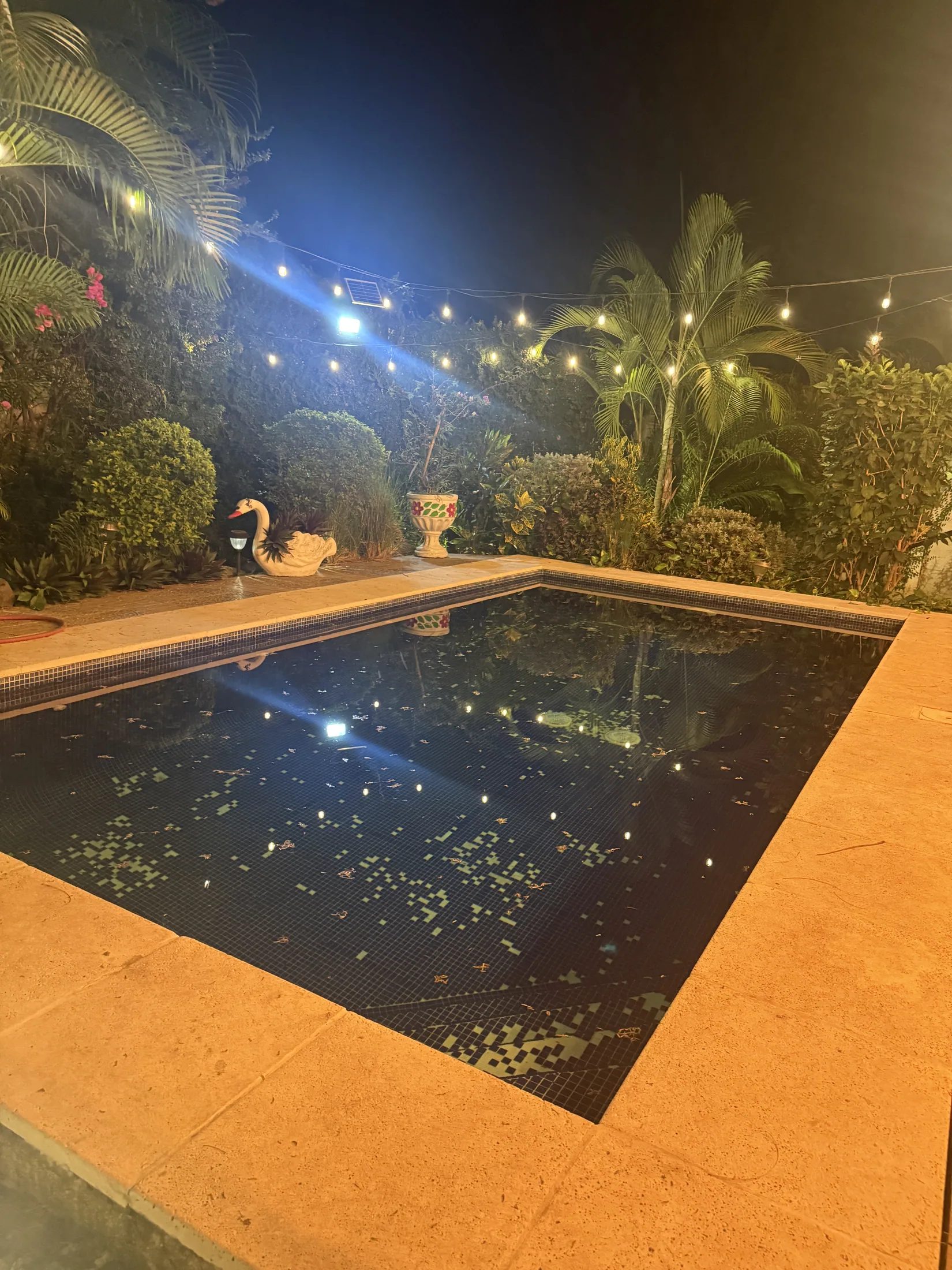 Private night pool