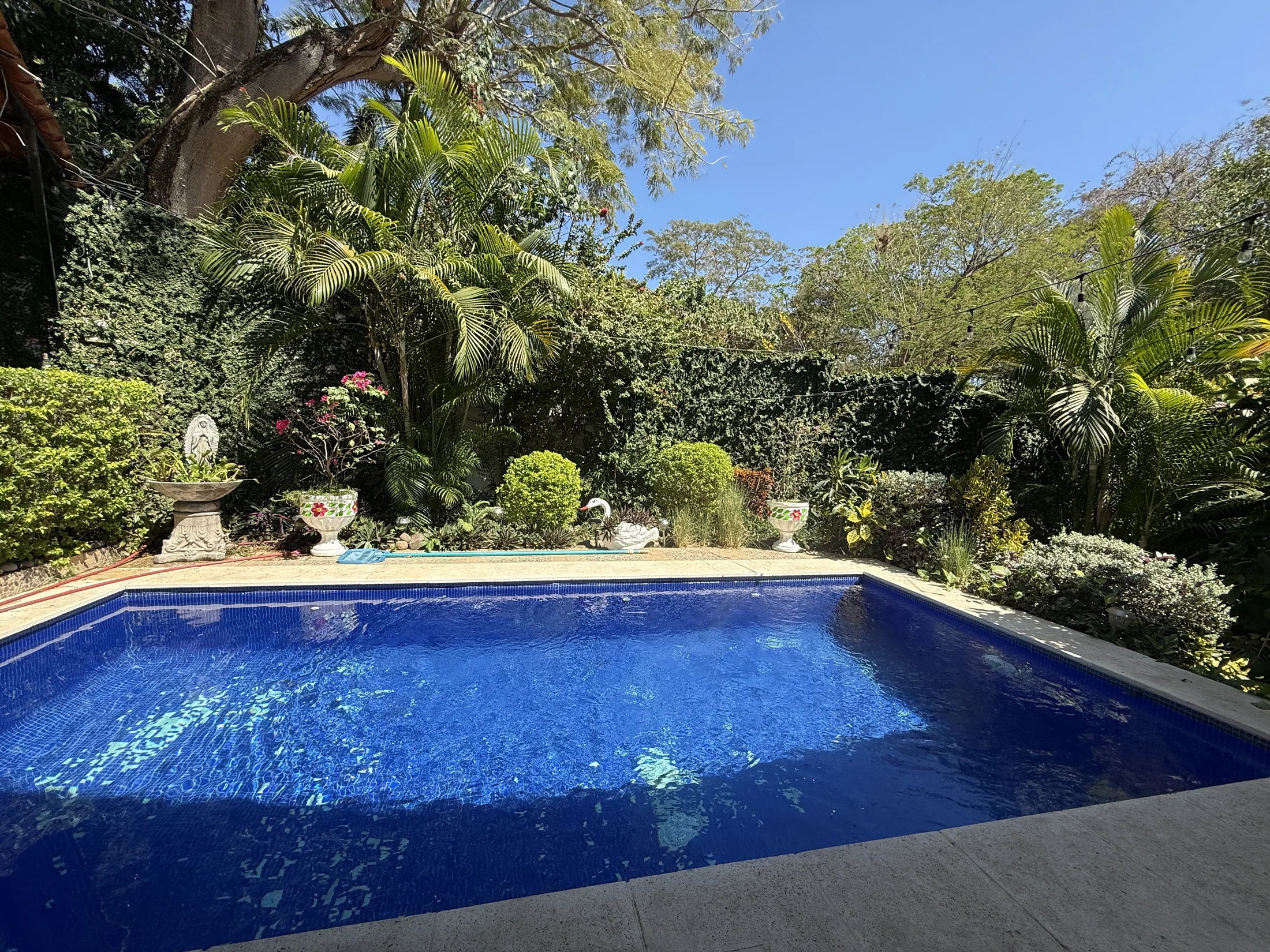 Private pool wide view