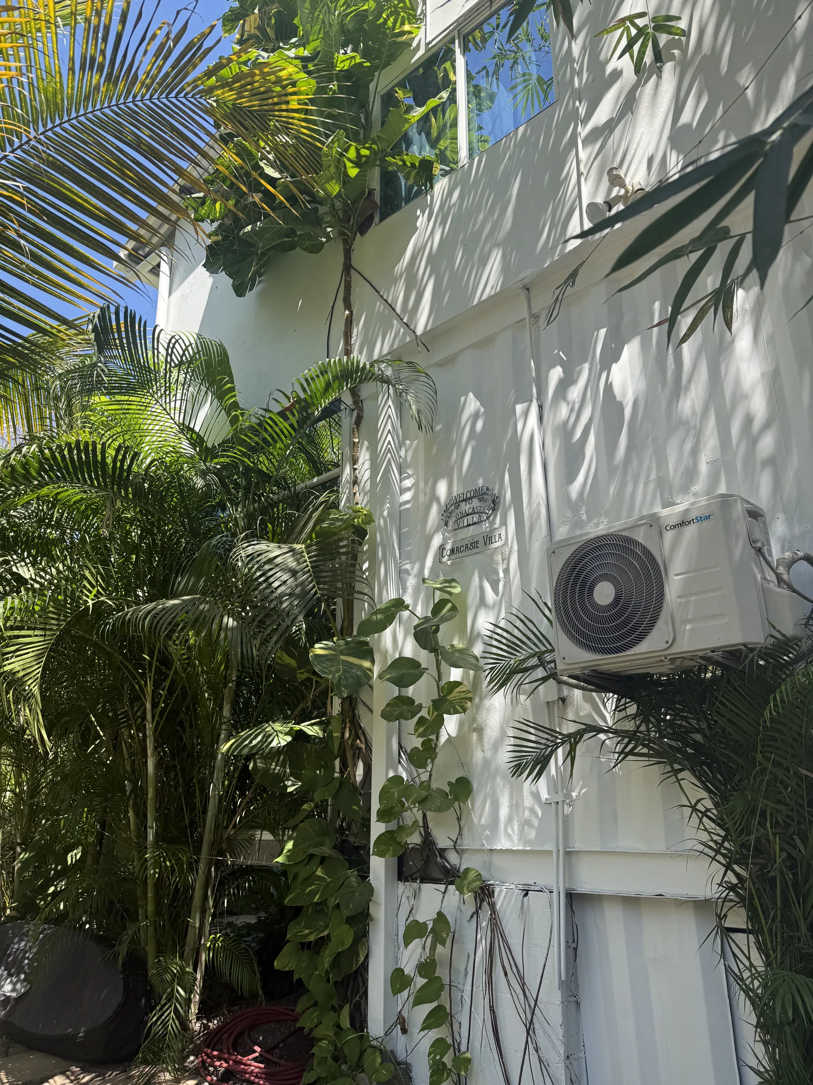 Tropical exterior