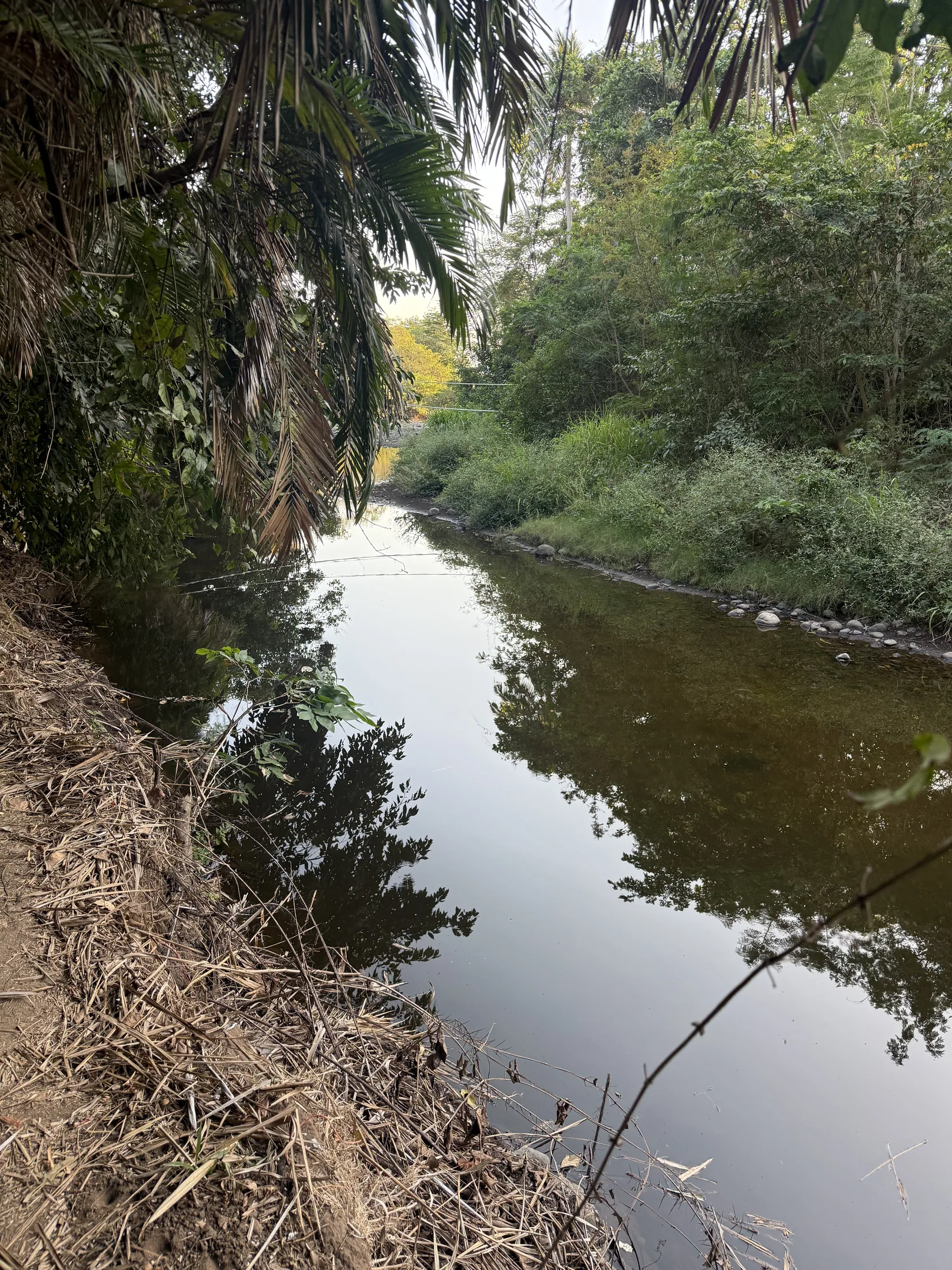 Playa El Palmarcito river walk